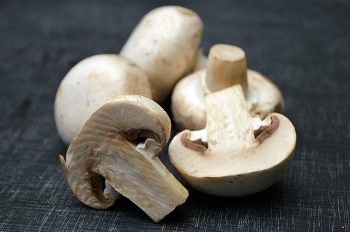 What Experts Are Saying About Mushroom Supplements